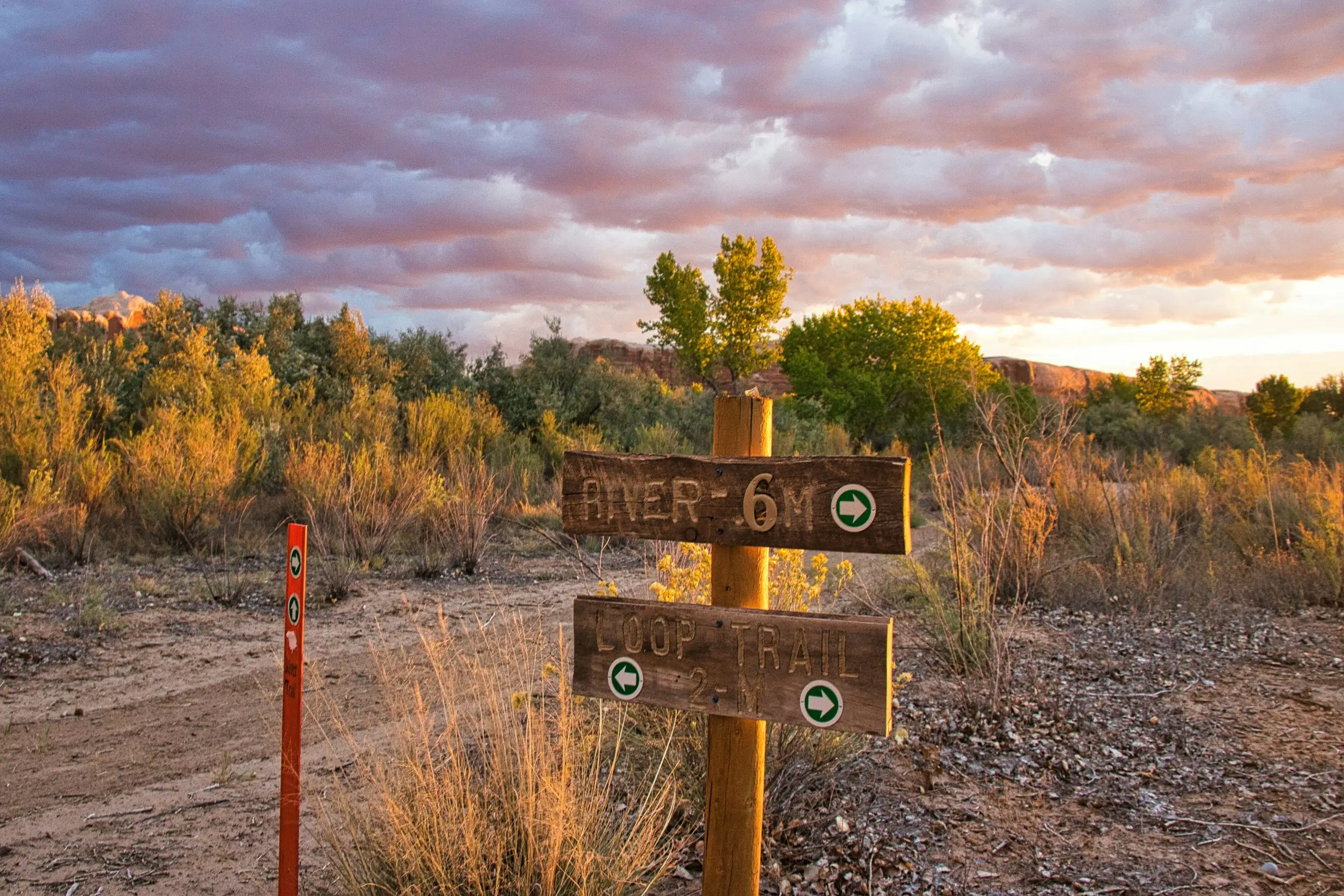 Direction and Distance | Discipled Church